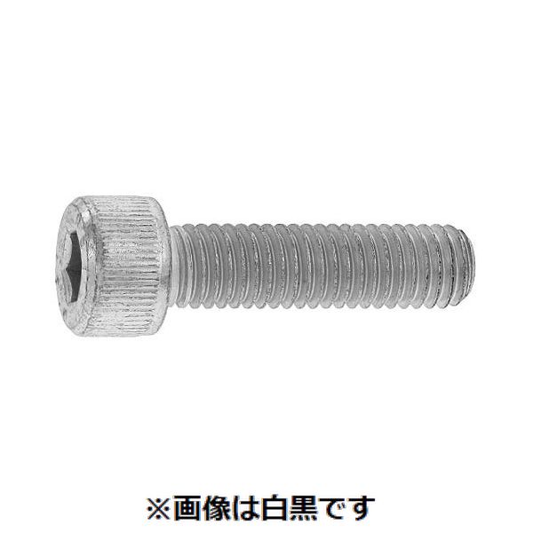 【個人宅配送不可】【個数：400個】SUNCO 4548833281648 【400個入】 直送 代引不可・他メーカー同梱不可 ジオメット CAP 日本鋲螺 5 X 20