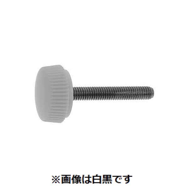 Rakuten - (LINEクーポン有)【個人宅配送不可】【個数：65個】SUNCO 4548833612190 【65個入】 直送 代引不可・他メーカー同梱不可 三価ホワイト ナイロン化粧ネジ 白 L−2 6 X 45