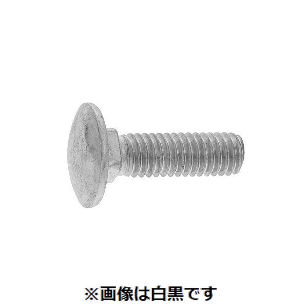 【個人宅配送不可】【個数：250個】SUNCO 4549388201860 【250個入】 直送 代引不可・他メーカー同梱不可 BC 根角ボルト A形1種 K1＝3 6X35 ゼン