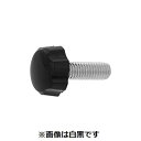 【個人宅配送不可】【個数:300個】SUNCO 4549388838950 【300個入】 直送 代引不可・他メーカー同梱不可 三価ホワイト 花ボルト黒 NO....