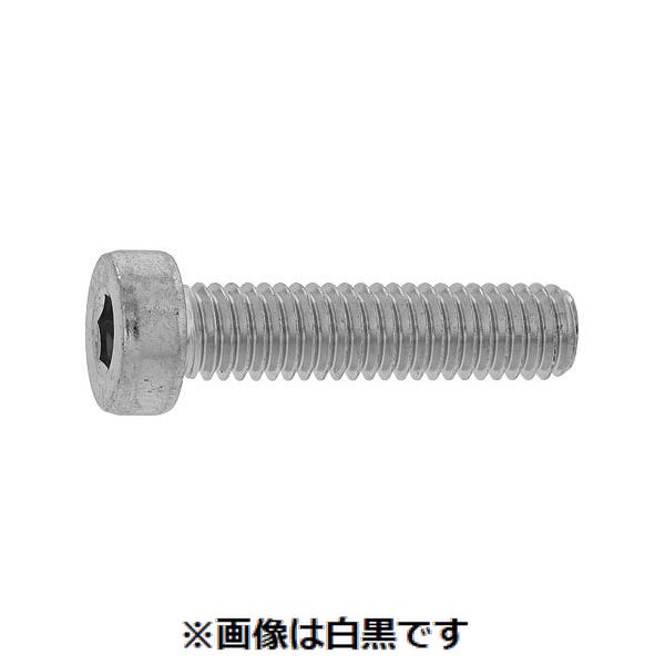 【個人宅配送不可】【個数：100個】SUNCO 4549638855041 【100個入】 直送 代引不可・他メーカー同梱不可 三価ブラック ローヘッドCAP 2．5 X 5