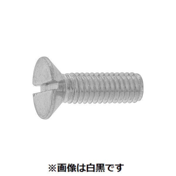 【個人宅配送不可】【個数：10個】S