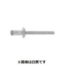 【個人宅配送不可】SUNCO 4550041640049 【1000個入】 直送 代引不可・他メーカー同梱不可 ハイストレングスリベットアルミ−アルミ 856A...