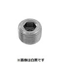 【個人宅配送不可】SUNCO 4550186951987 【300個入】 直送 代引不可・他メーカー同梱不可 SUS316L互省プラグ 浮き GJ 3/8