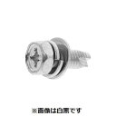 【個人宅配送不可】【個数:300個】SUNCO 4550418293304 【300個入】 直送 代引不可・他メーカー同梱不可 三価ホワイト + C1アプセット...