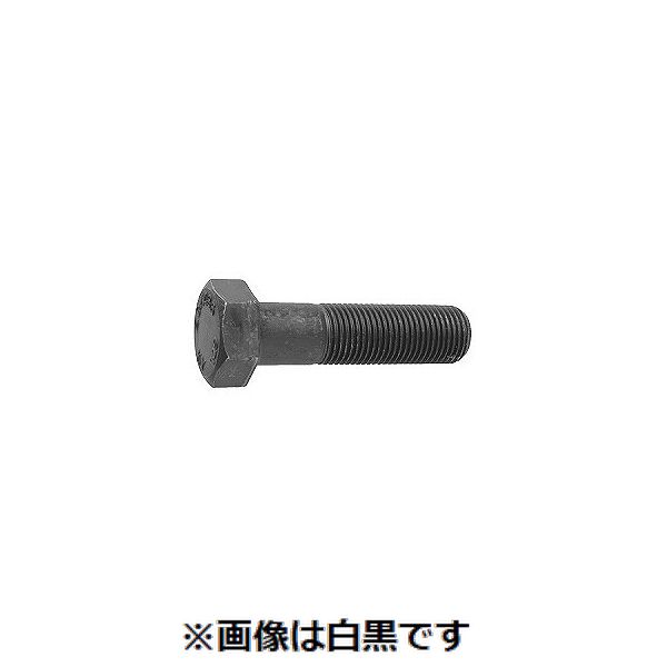 (LINEクーポン有)【個人宅配送不可】SUNCO 4550445057030 【2個入】直送 代引不可・他メーカー同梱不可 10．9 六角ボルト 細目 P2．0 36X190X84