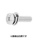 【個人宅配送不可】【個数:100個】SUNCO 4550445596300 【100個入】 直送 代引不可・他メーカー同梱不可 Sコート ステン+アプセットP=...
