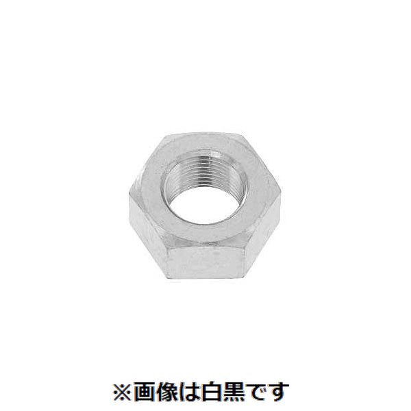 【個人宅配送不可】【個数：100個】SUNCO 4550445889297 【100個入】 直送 代引不可・他メーカー同梱不可 六角ナット 1種 極細 B24 H13 M17ホソメ1．0