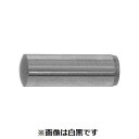 【個人宅配送不可】SUNCO 4942131322278 【100個入】直送 代引不可・他メーカー同梱不可 S45C 平行ピン A種姫野精工所製 10 X 75(4)