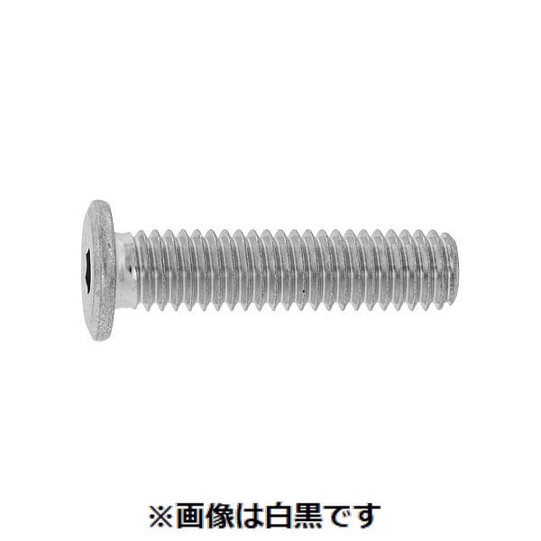 【個人宅配送不可】【個数：100個】SUNCO 4942131374048 【100個入】 直送 代引不可・他メーカー同梱不可 ユニクロ 極薄・NSローヘッド 10 X 25