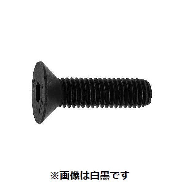 (LINEクーポン有)【個人宅配送不可】【個数：200個】SUNCO 4942131563343 【200個入】 直送 代引不可・他メーカー同梱不可 サラCAP アンブラコ 全ネジ 8 X 25