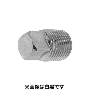【個人宅配送不可】【個数:100個】SUNCO 4942131698816 【100個入】 直送 代引不可・他メーカー同梱不可 SUS阪村プラグ 四角頭 R3/8-19