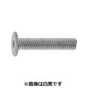 【個人宅配送不可】【個数:300個】SUNCO 4942131753256 【300個入】 直送 代引不可・他メーカー同梱不可 三価ブラック TRX スリムヘッ...