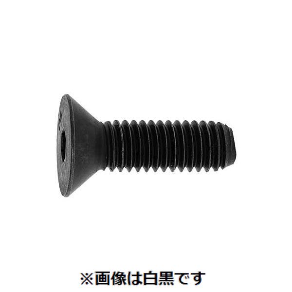 Rakuten - (LINEクーポン有)【個人宅配送不可】【個数：100個】SUNCO 4942131806570 【100個入】 直送 代引不可・他メーカー同梱不可 サラCAP UNC アンブラコ 1／4−20X1”