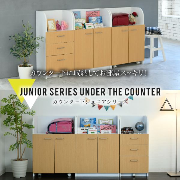 JKプラン FDK-0003-WHNA 直送 代引不可・他メーカー同梱不可 カウンター下 おもちゃラック 動くボックス付き 幅60 高さ85 カウンター下収納 奥行35cm 扉付き おもちゃ箱 FDK0003WHNA カウンター下 おもちゃラック 動くボックス付き 幅60 高さ85 カウンター下収納 奥 [3]