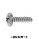【個人宅配送不可】【個数:300個】SUNCO 4942131975979 【300個入】 直送 代引不可・他メーカー同梱不可 三価ブラック + B0トラス 6...