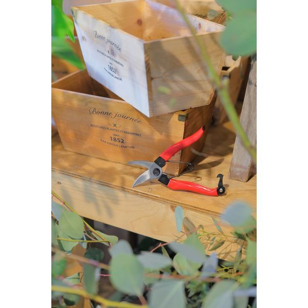 (LINEクーポン有)高儀 TAKAGI 2011770 SFF×TAKAGI 剪定鋏 180mm 赤グリップ