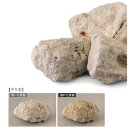 【個人宅配送不可】ESPERAND エスペランド ES-ISIR-RKG 直送 代引不可・他メーカー同梱不可 いし彩 グリ石 琉球石灰岩 1袋 20kg