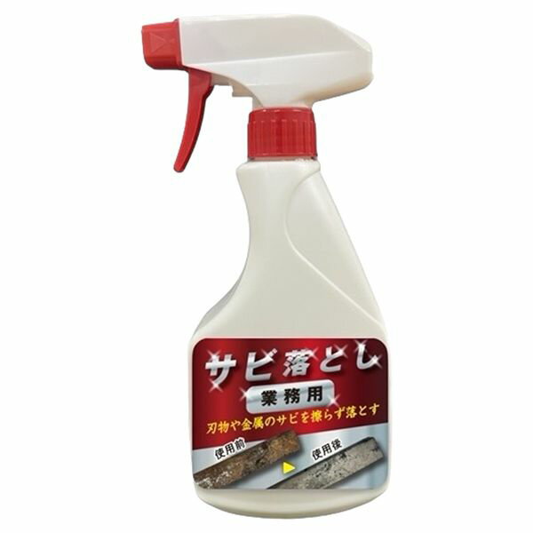 ムース 4595317487065 業務用さび落とし スプレー