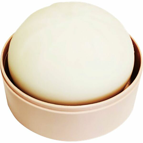 藤田屋 4977271092477 中華まんスクイーズ