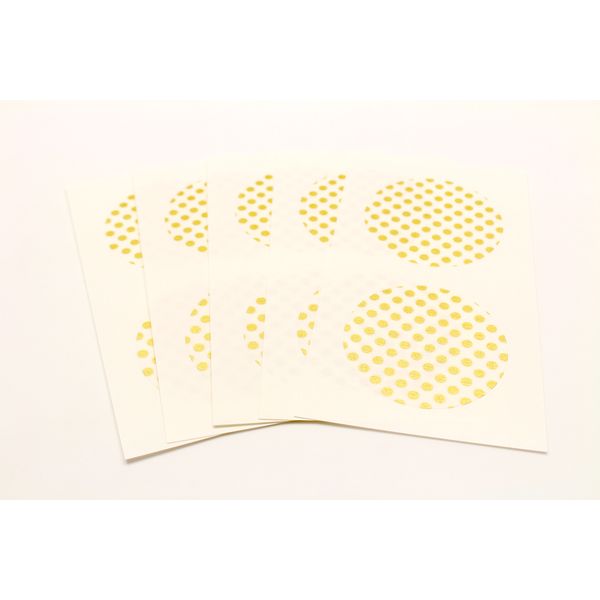 カモ井 MTCDS013 mt casa seal ドット・金