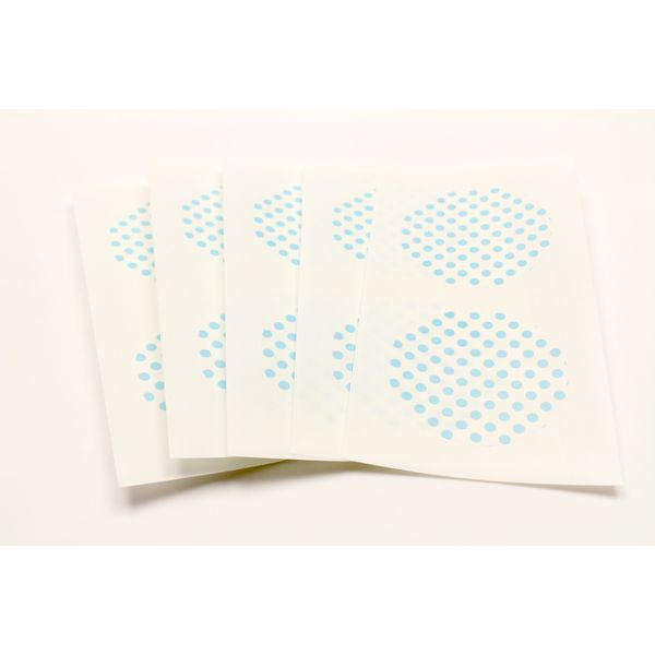 カモ井 MTCDS022 mt casa seal ドット・アイス