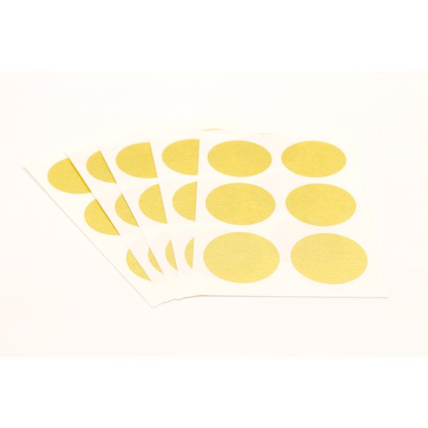 カモ井 MTCDSS05 mt casa seal S 金