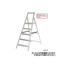 CCST-80
