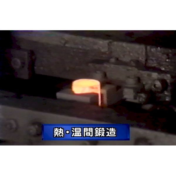 (LINE�����ݥ�ͭ)���ɥ����� ADWIN CFT-100DVD �����¤���Ѷ���DVD CFT100DVD