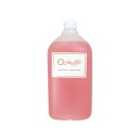 4562189151073 91189 ORANGE リムーバー 1800ml【キャンセル不可】 1800mlネイルポリッシュ マニュキュア落とし ネイルリムーバー ネイルサロン