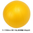 【商品説明】●サイズ：直径約25cm　重量100g●材質：PVC　耐用重量/体重100kg以内類似商品はこちらダンノ DANNO 45296860262731,611円ダンノ DANNO 45296860133891,611円ダンノ DANNO 45296860133651,611円ダンノ DANNO 45296860247436,128円ダンノ DANNO 45296860247507,544円4529686023173 ギムニクカラーボー8,272円ダンノ DANNO 4529686044260578円D7154 DANNO フィールブロック 日本30,562円ダンノ DANNO 45296860389242,833円ダンノ DANNO 452968604644816,830円ダンノ DANNO 45296860463945,009円ダンノ DANNO 45296860463873,410円