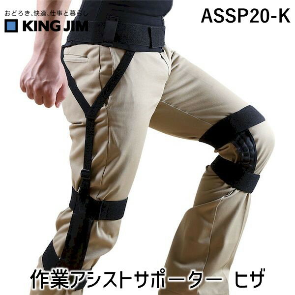 󥰥 KIMG JIM ASSP20-K ȥȥݡݥ ҥ ASSP20K ȥȥݡ