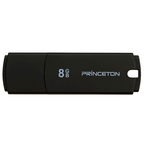 プリンストン PFU-XJU/16G USB2．0メモリ