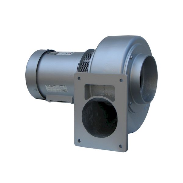 ڸĿԲġۡڸĿ1ġŵ CCN5TL ľ Բġ¾᡼ƱԲ  å