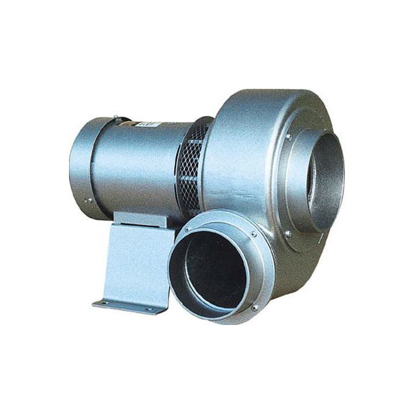 ڸĿԲġۡڸĿ1ġŵ TVCN5L ľ Բġ¾᡼ƱԲ  åǮ