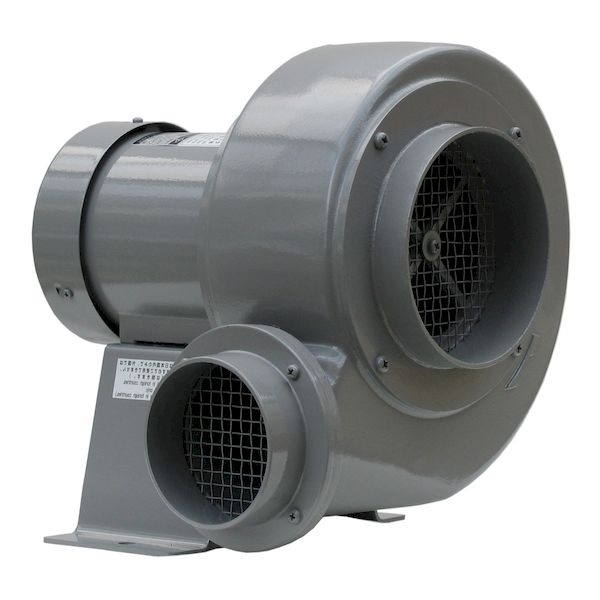 ڸĿԲġۡڸĿ1ġŵ VCN5L ľ Բġ¾᡼ƱԲ  å