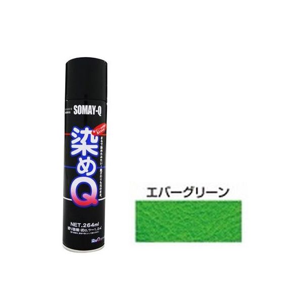 (LINEクーポン有)染めQテクノロジィ 4580154050114 染めQ エアゾール エバーグリーン 264ML