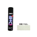 染めQテクノロジィ 4580154050343 染めQ エアゾール 保護つや出し 264ML