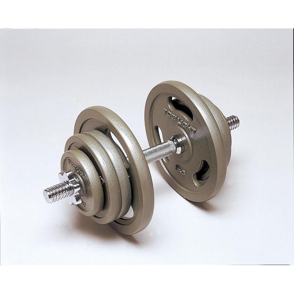 (LINE�����ݥ�ͭ)�ȡ������饤�� TOEI LIGHT 4518891042130 ����٥�25kg���å� H9280 �ع������������� TOEILIGHT