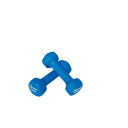 トーエイライト TOEI LIGHT 4518891253444 ラバーコートダンベル1.5 H9056 TOEILIGHT フィットネス トレーニング
