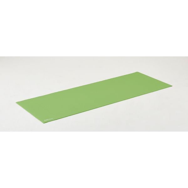 (LINEクーポン有)ダンノ DANNO 4529686041719 ヨガマット ライトグリーン D7219LG(4.0)