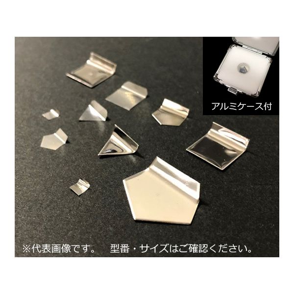 (LINEクーポン有)アズワン 3-1586-15 分銅 E−2級10mg【1個】 3158615