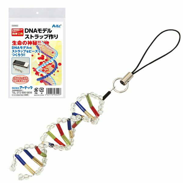 アーテック ArTec 093429 DNAストラップ作り 4521718934297 DNAモデルストラップ作り 学習教材美術 美術学習教材 美術図工