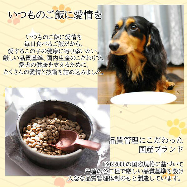 【即納在庫品】ペットライン 4902418002491 メディコートアドバンス グレインフリー 1歳から チキン味 4．5kg 小粒 フラクトオリゴ糖配合 消化に配慮 (3)