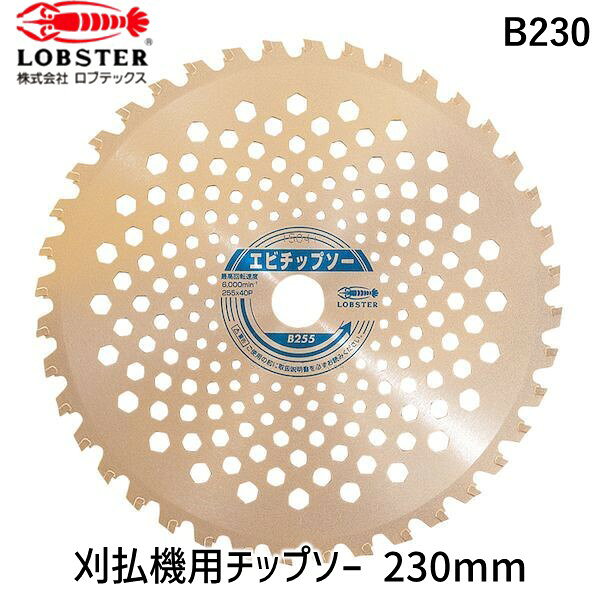 ロブテックス072-980-1111【商品説明】●斜め45度にチップをロー付けして接着面積を増やし強度をアップしました。●草刈・下刈兼用。エビ印 LOBSTER ロブテックス エビ 工具 ロブスター ダイヤモンド工具 切削工具 切断工具 穴あけ工具 切削 切断 刈払機用チップソー 刈払機チップソー 山林下刈り兼用 芝刈り 草刈 除草 掃除 庭掃除 空地 下刈 田畑 堤防類似商品はこちらロブテックス K230 刈払機用チップソー K2,334円エビ KK230 刈払機用チップソー 刃数362,457円ハウスビーエム SB-230B 刈払チップソー1,905円エビ K255 刈払機用チップソー K255 2,378円直送・代引不可 ロブテックス エビ 刈払機用チ4,863円直送・代引不可 ロブテックス エビ 刈払機用チ4,863円ツムラ 1955 刈払機用チップソー 翼2302,558円トラスコ中山 TRUSCO TKHG230N 4,986円ツムラ 1900 刈払機用チップソー L型234,273円ツムラ 3011 刈払機用チップソー R型234,098円直送・代引不可 ロブテックス エビ 刈払機用12,327円直送・代引不可 ロブテックス エビ 刈払機用12,327円
