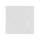 XWS1001 ワサガード抗菌シート 透明タイプ 100×100mm 100枚入