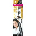 4904651179923 【27個入】 Sカラーオンリタッチ白髪かくしEXLBR15ML 96206【キャンセル不可】