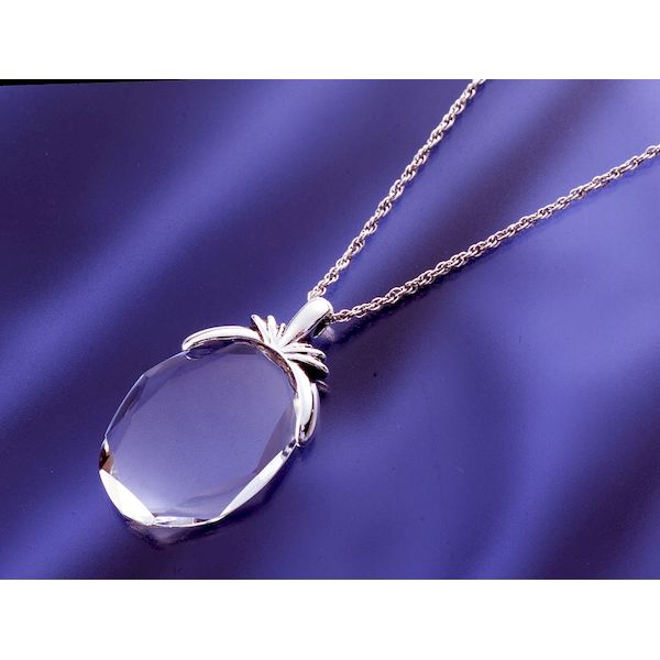 4518972005665 【6個入】 クリスタル ルーペペンダントネックレス アンティークシルバー 89444【キャン..