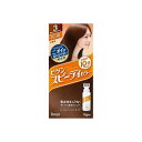 4987205041334 【27個入】 ビゲンSPカラーニュウエキ3 93473【キャンセル不可】
