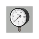 BT1/4-60X16MPA 長野計器 普通形圧力計 AA10-221 BT1/460X16MPA(4)